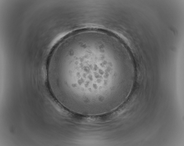X0000112771271200908201459