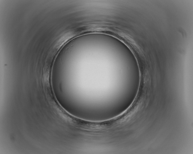 X0000112771273200908201459