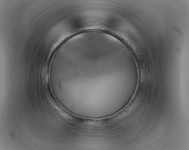 X0000112771274200908201459
