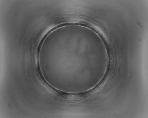 X0000112771275200908201459
