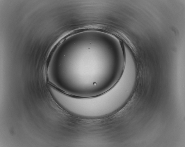 X0000112771276200908201459