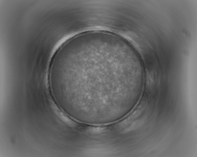 X0000112771278200908201459