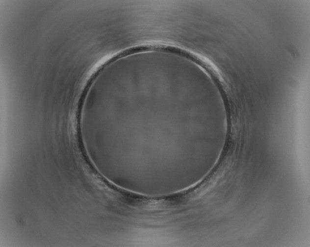 X0000112771279200908201459