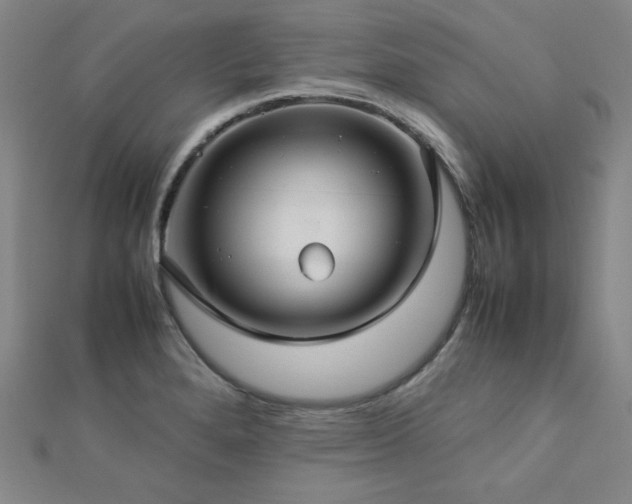 X0000112771280200908201459
