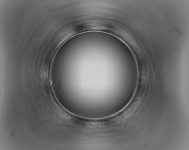 X0000112771281200908201459