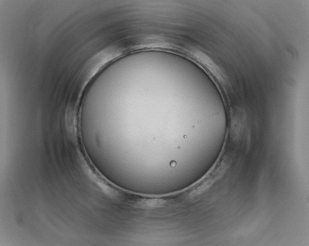 X0000112771282200908201459