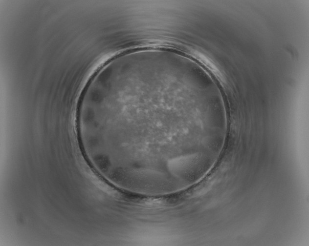 X0000112771283200908201459