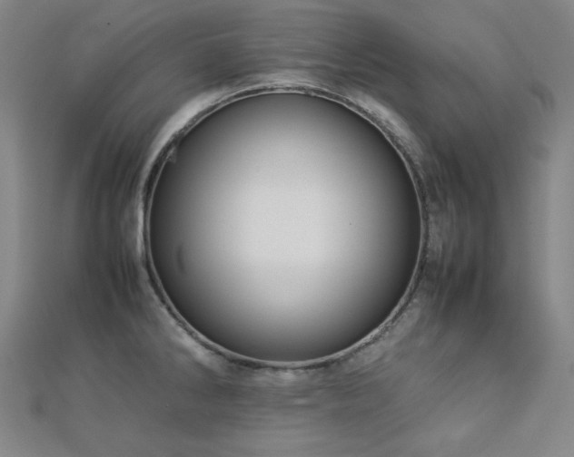 X0000112771286200908201459