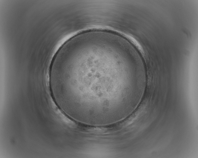 X0000112771287200908201459