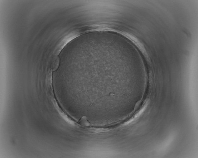 X0000112771289200908201459