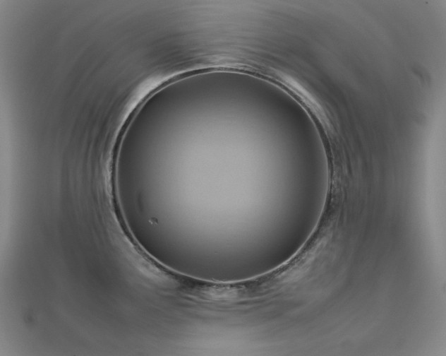 X0000112771291200908201459