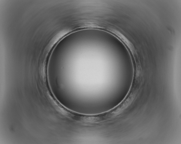 X0000112771293200908201459