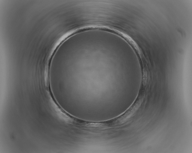 X0000112771295200908201459