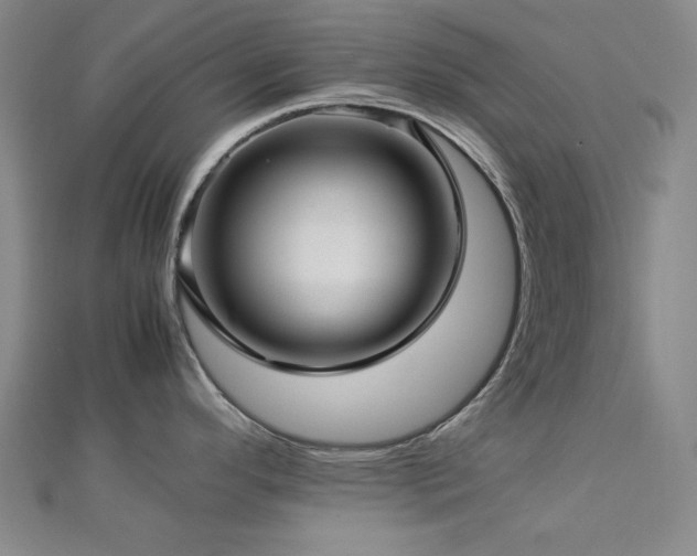 X0000112771296200908201459