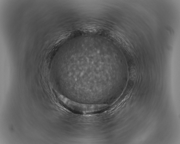X0000112771297200908201458