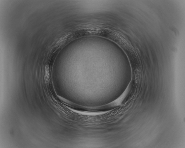 X0000112771298200908201458
