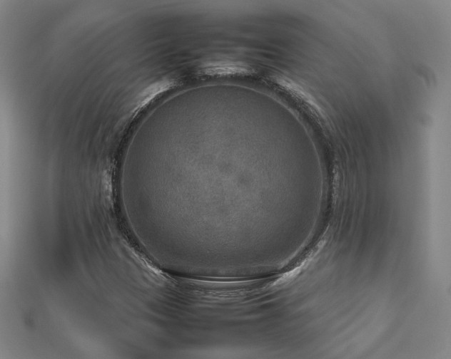 X0000112771305200908201458