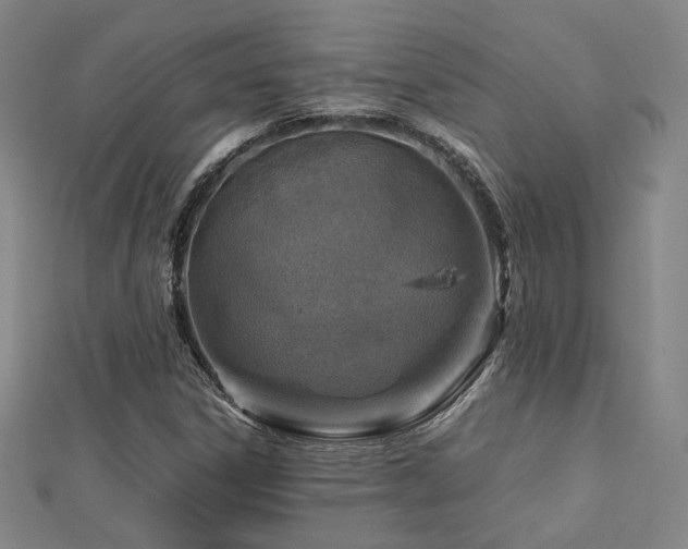 X0000112771306200908201458