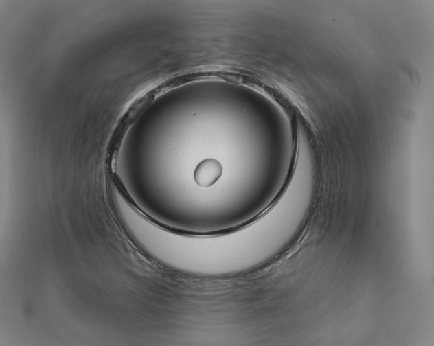X0000112771308200908201458
