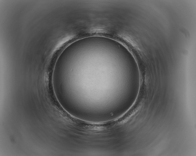 X0000112771309200908201458