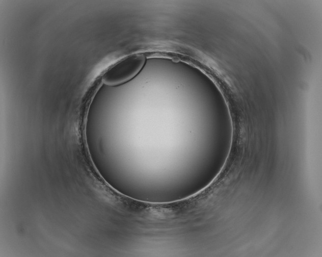 X0000112771312200908201458