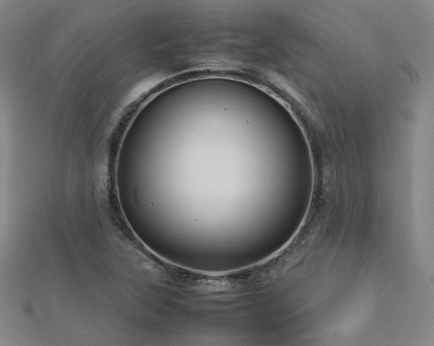 X0000112771315200908201458