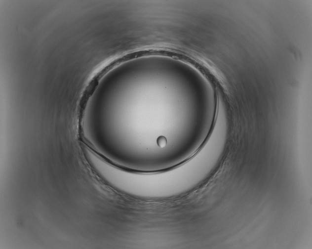 X0000112771316200908201458