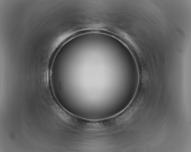 X0000112771320200908201458