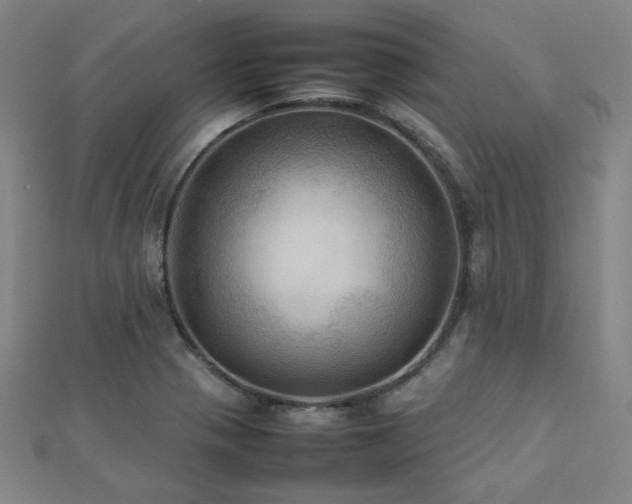 X0000112771321200908201458