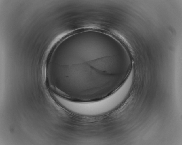 X0000112771323200908201458