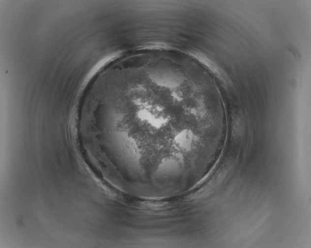 X0000112771325200908201458