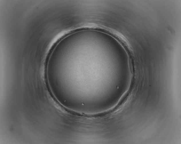 X0000112771326200908201458