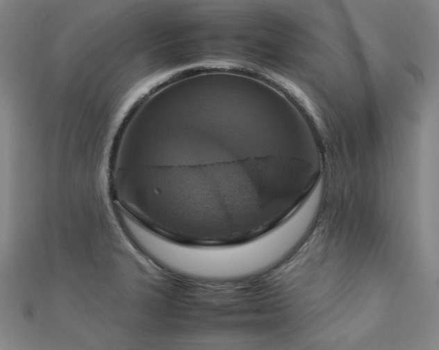 X0000112771327200908201458