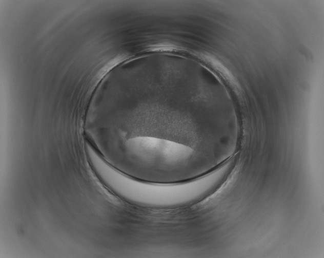X0000112771329200908201458