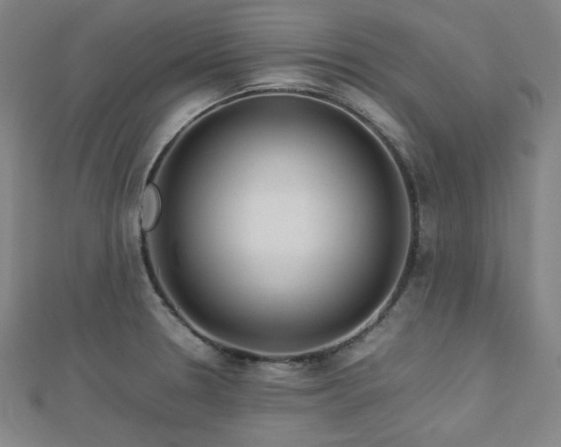X0000112771330200908201458
