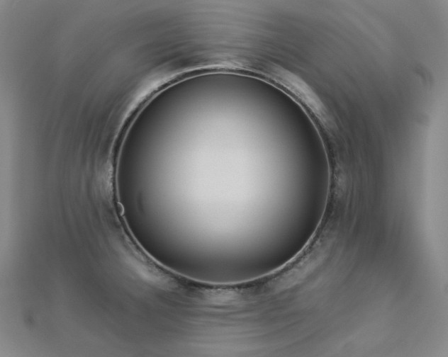 X0000112771332200908201458