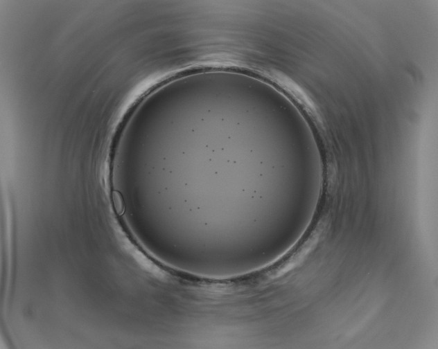 X0000112771334200908201458
