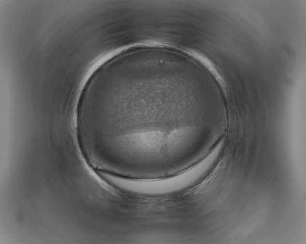X0000112771335200908201458