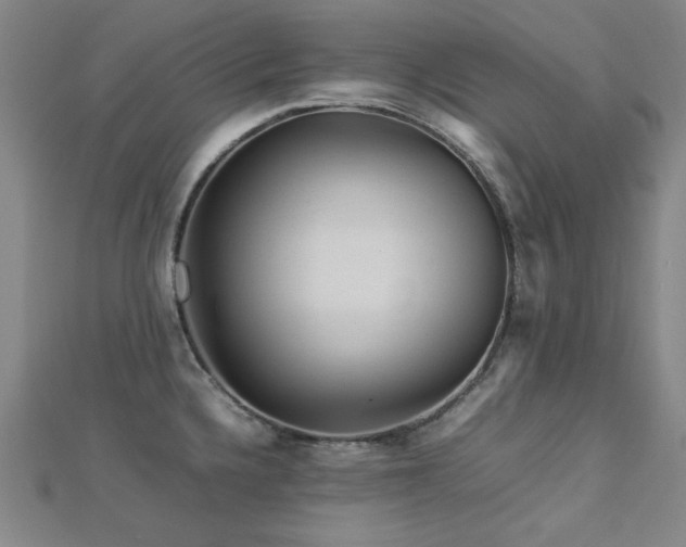 X0000112771336200908201458