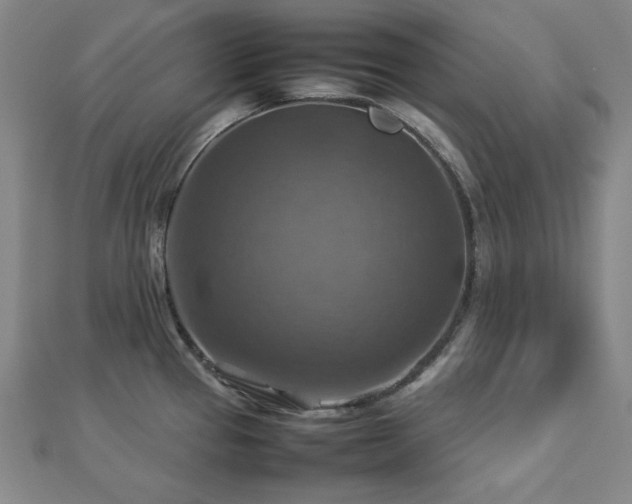 X0000112771337200908201458