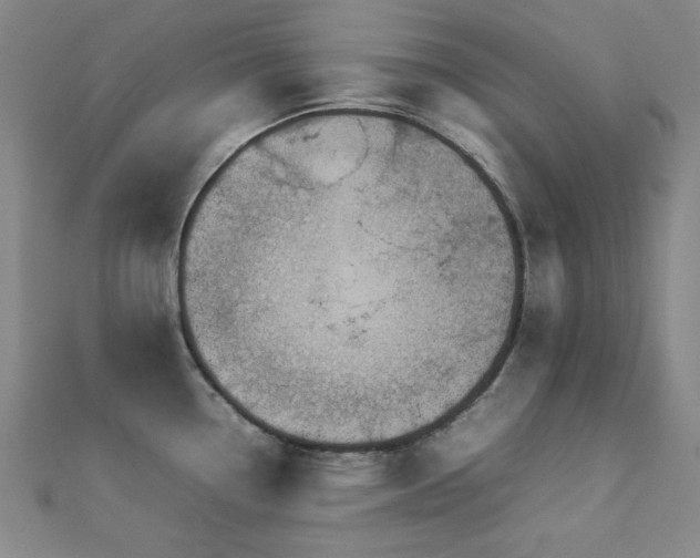 X0000112771338200908201458