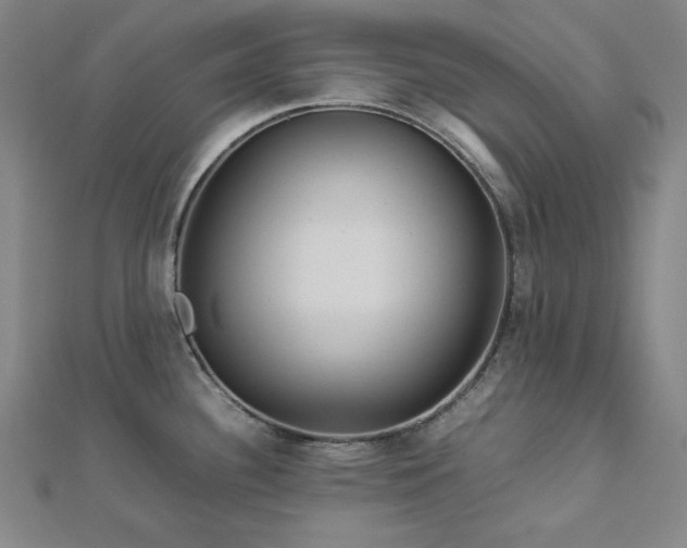 X0000112771340200908201458