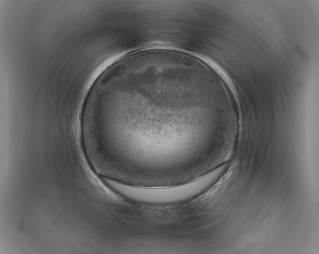 X0000112771341200908201458