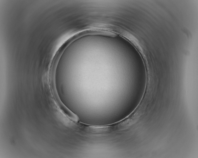 X0000112771344200908201459