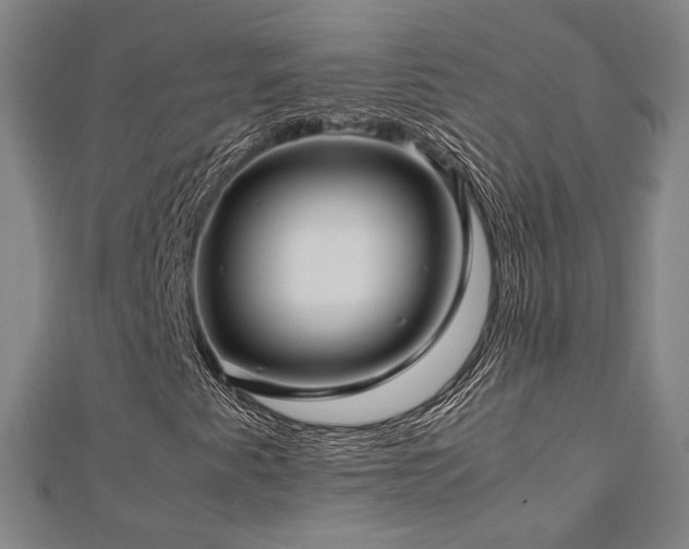 X0000112771345200908201458