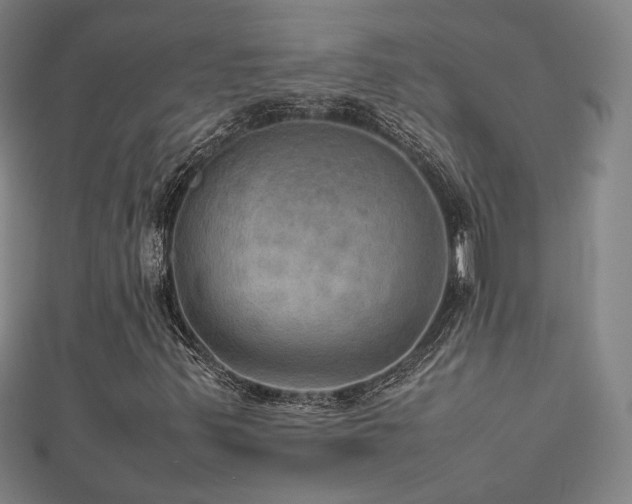 X0000112771347200908201458