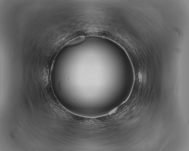 X0000112771348200908201458