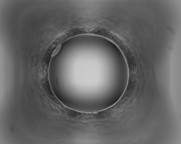 X0000112771349200908201458