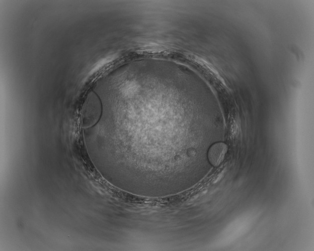 X0000112771350200908201458