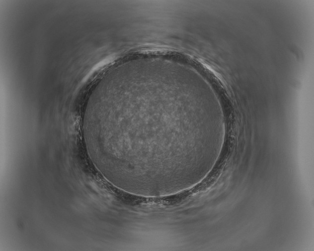 X0000112771351200908201458